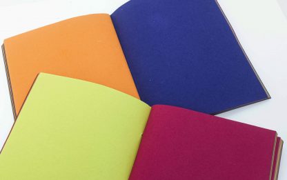 Détail pages Multicolores